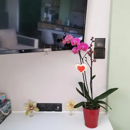 Apartment Dioni Lux *